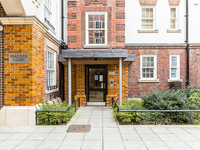 Picture 19